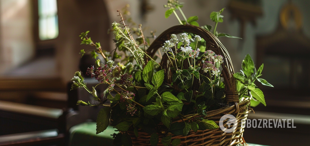 How to dry fresh herbs to retain their flavor: simple methods