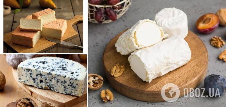 Which cheese is the healthiest
