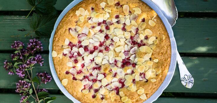 An elementary summer pie with red currants: be sure to prepare for tea for your family