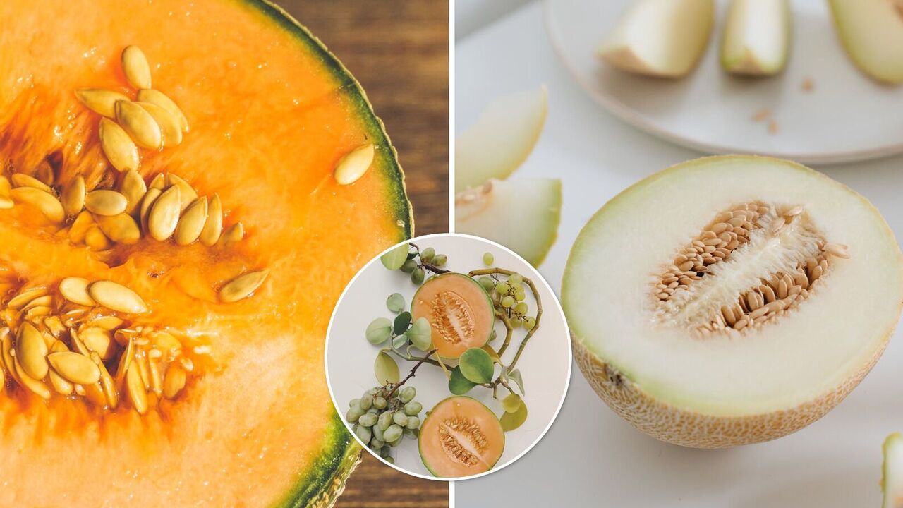 How to choose a delicious melon: what not to eat with and how to store