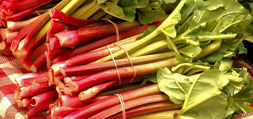 What to cook with rhubarb