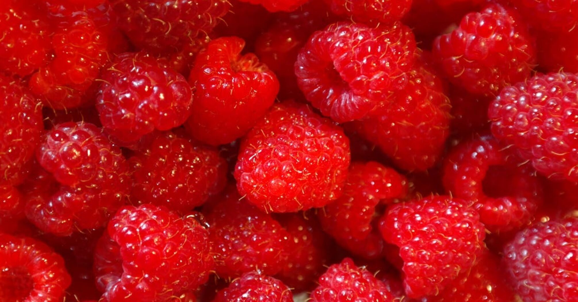 Raspberry wine without vodka: how to make an amazing drink at home