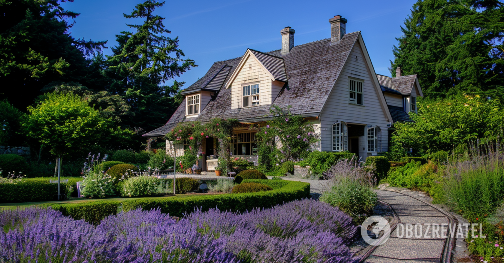 Bloom in a few weeks: what flowers are the easiest to grow in the summer house