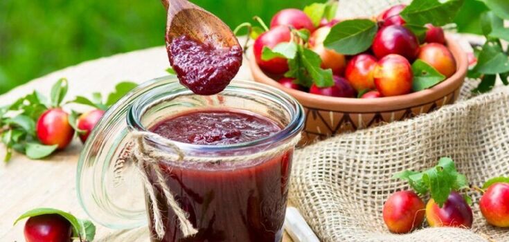 Cherry plum tkemali: how to make a spicy meat sauce for the winter