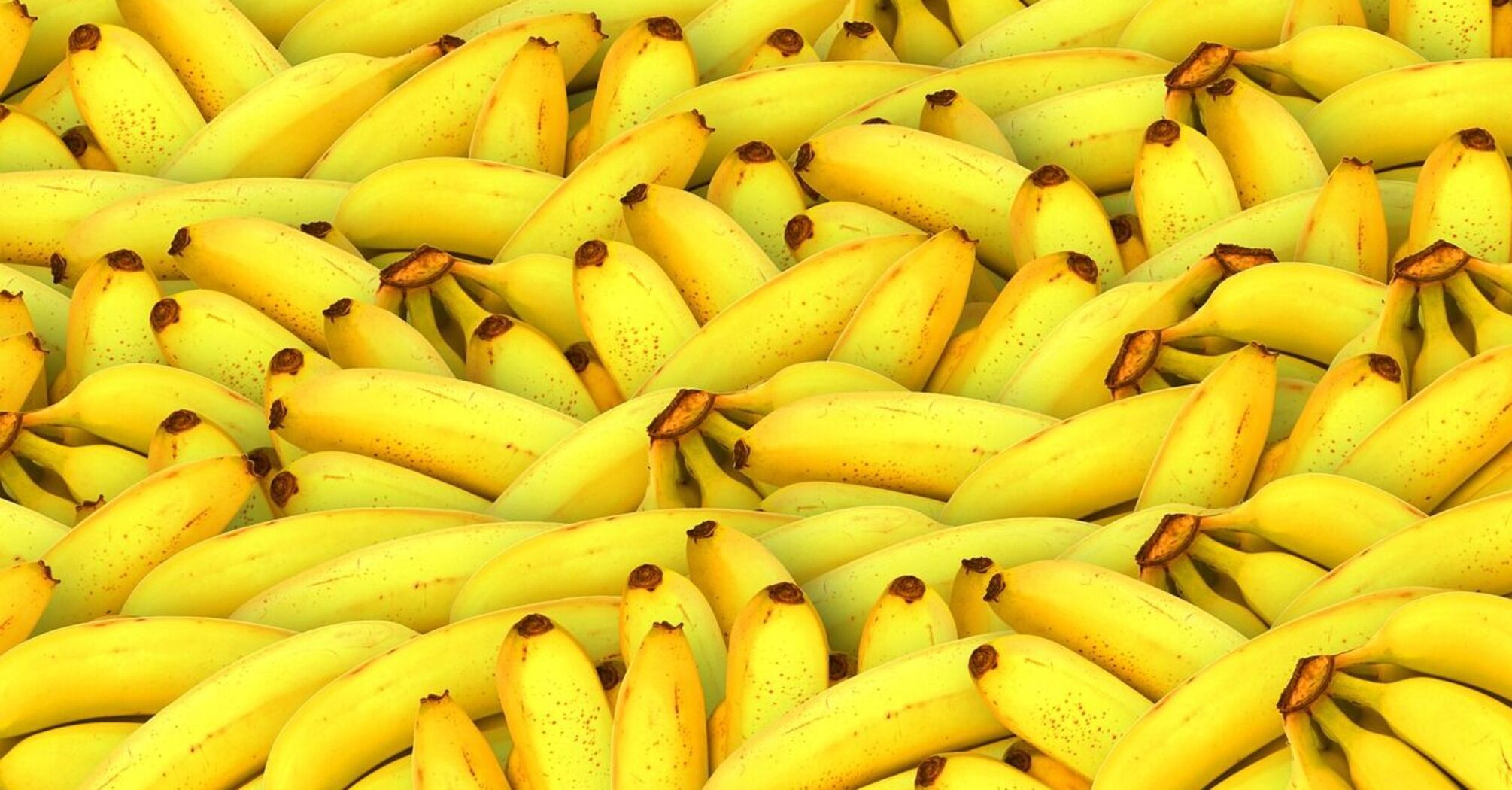 The best place to store bananas: they will be fresh for a long time
