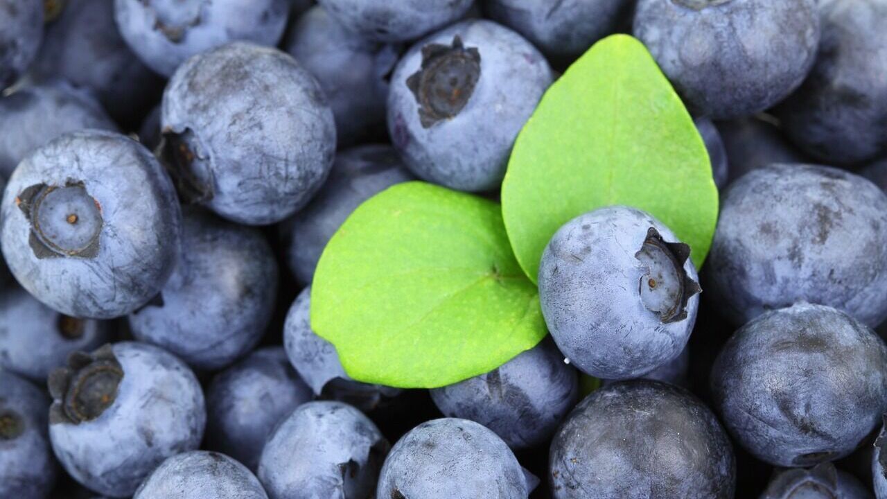 How to keep berries fresh for 10 days: three simple ways