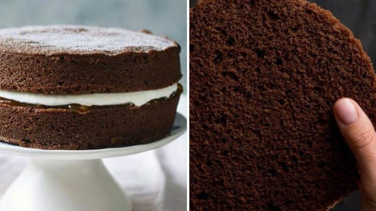 Universal chocolate sponge cake that always rises: what to make the dough from