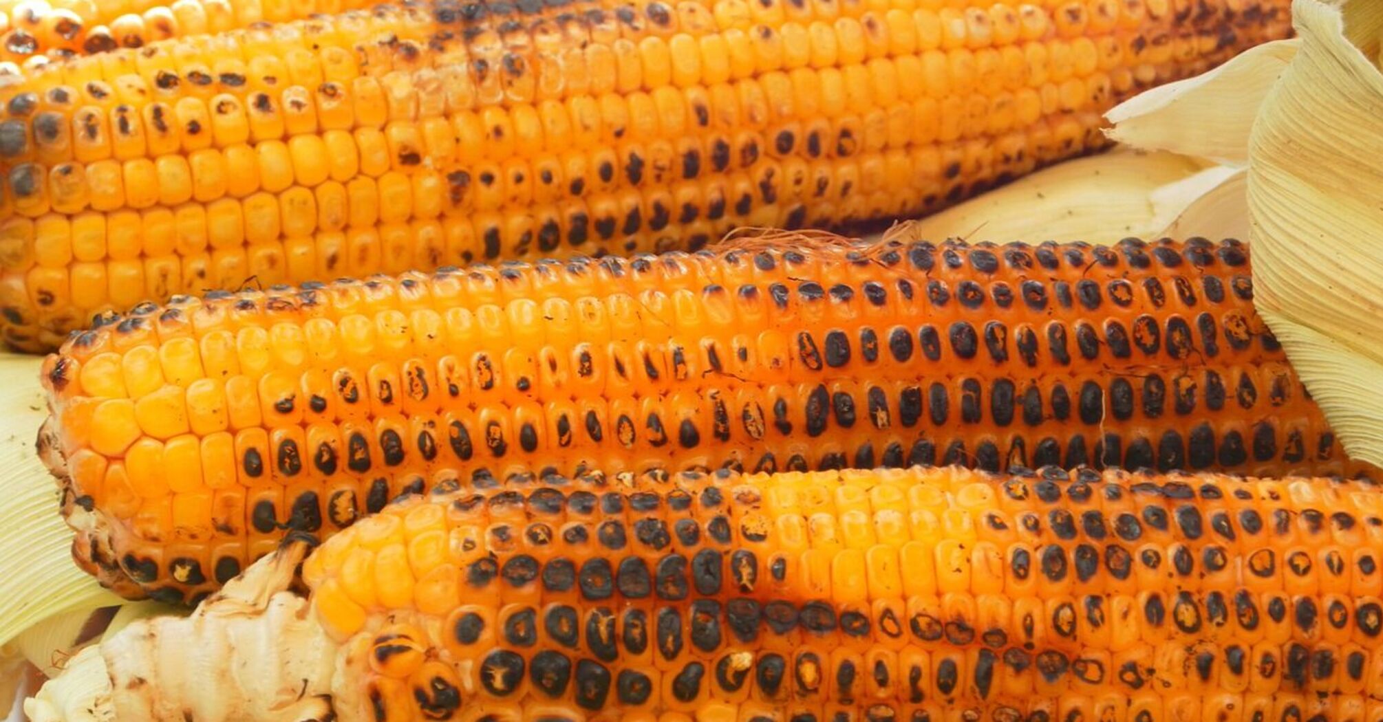 The best way to cook corn on the cob: step-by-step recipe