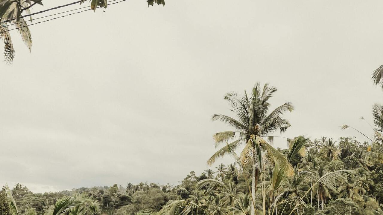 Bali urges Russian tourists to "dress more modestly" as women riding scooters in bikinis distract drivers