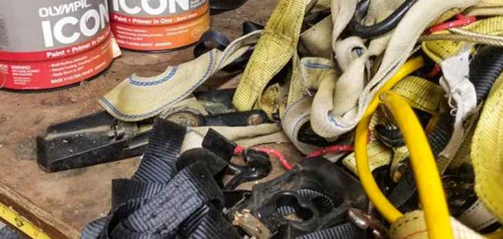There are only 7 seconds: show your IQ and find the snake in the photo