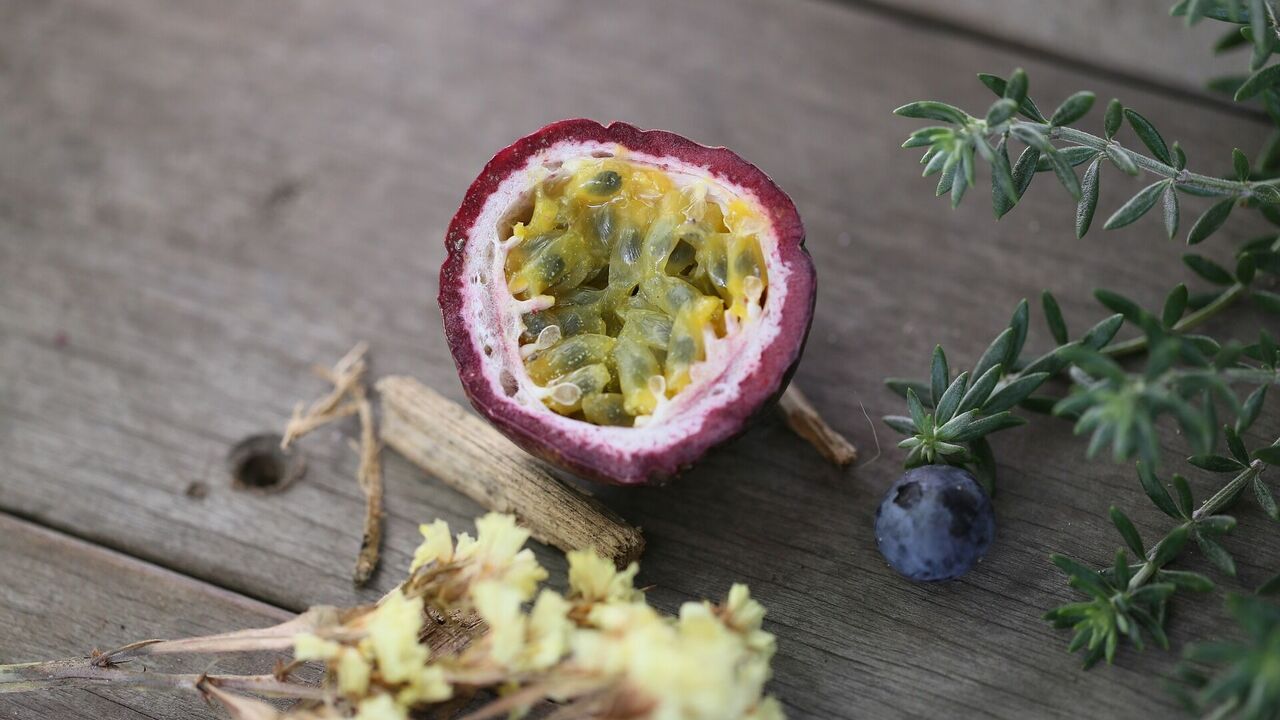 How to grow a passion fruit analog at home in the garden: instructions