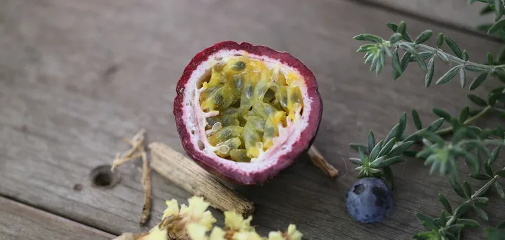 How to grow a passion fruit analog at home in the garden: instructions