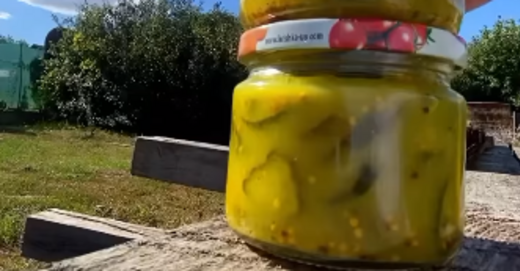 Cucumbers like McDonalds: how to preserve a vegetable for burgers, shawarma and sandwiches