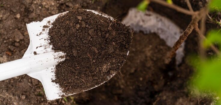 When and why liming the soil: instructions for summer residents