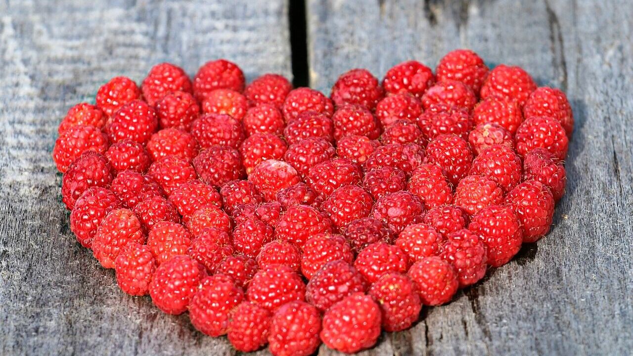 How to prepare raspberries for the winter: three original ways