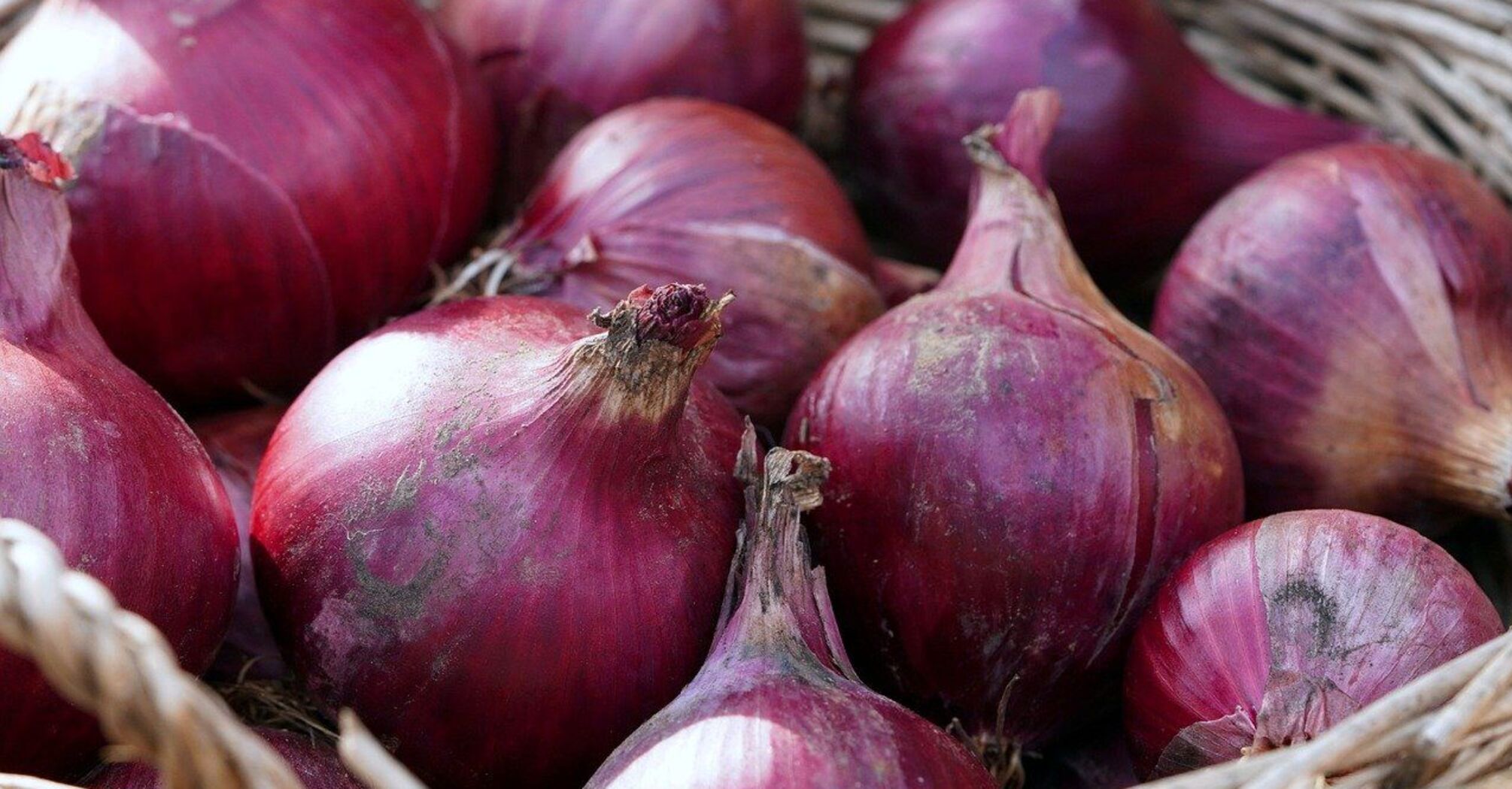 You probably do not store onions correctly: try this clever trick that keeps them fresh for up to six months