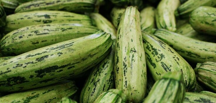How to pickle zucchini with chili ketchup for winter: a quick recipe