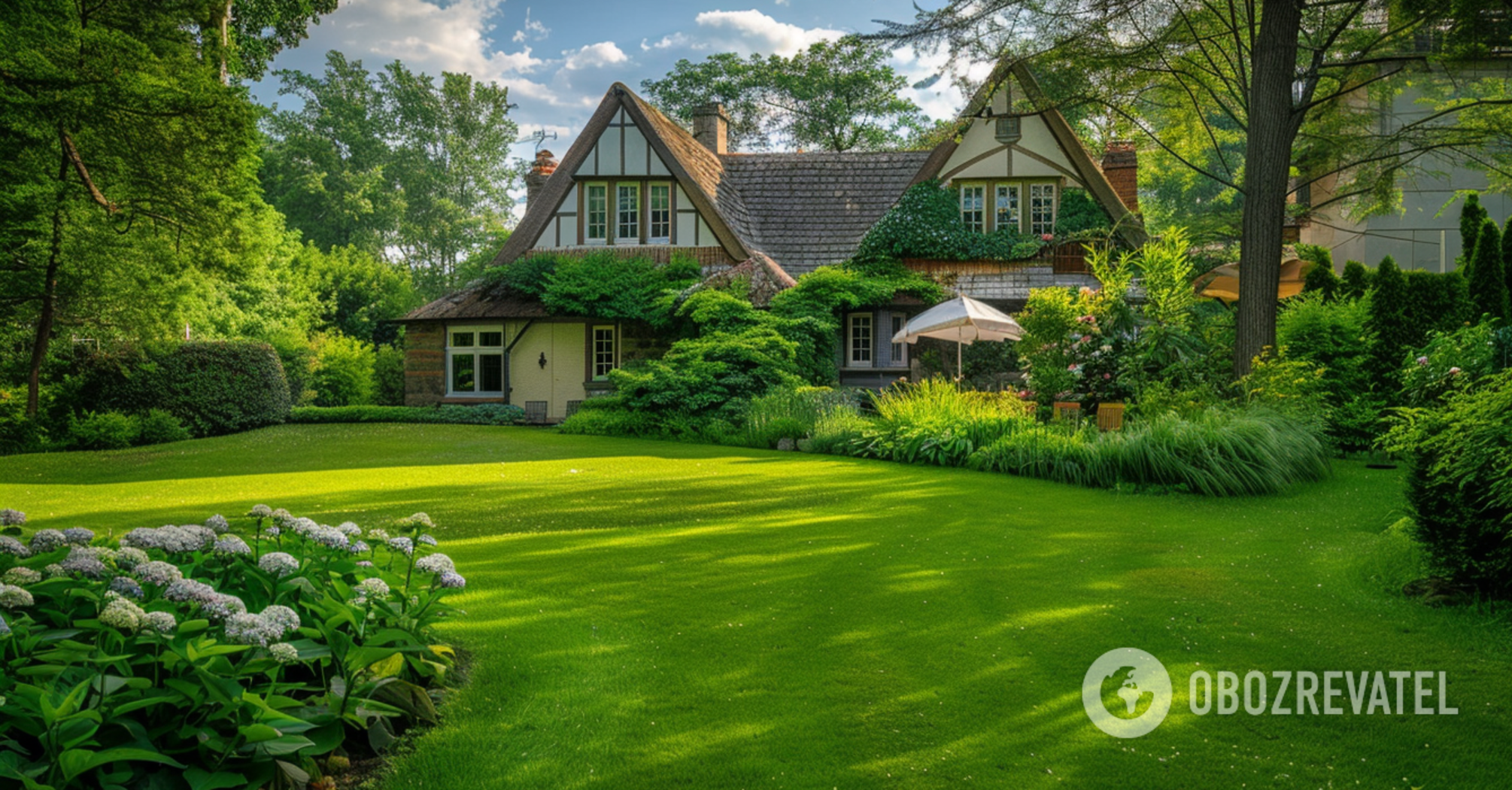 How often should you water your lawn in summer: tips for beginners