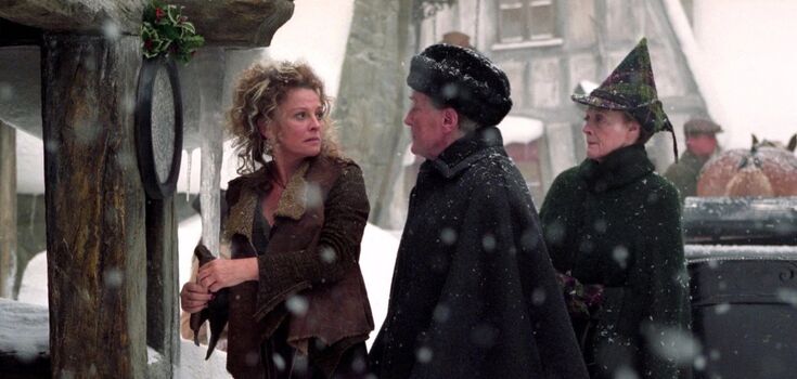This is the first time in 8 years that the legendary Harry Potter star has been seen in public. How Julie Christie has changed since the beginning of her career in the 1960s