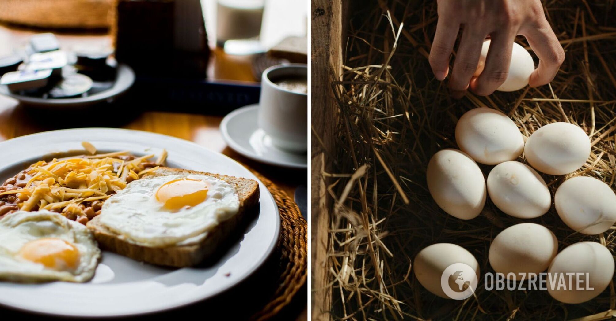 Lazy breakfast of eggs: how to cook a simple product correctly