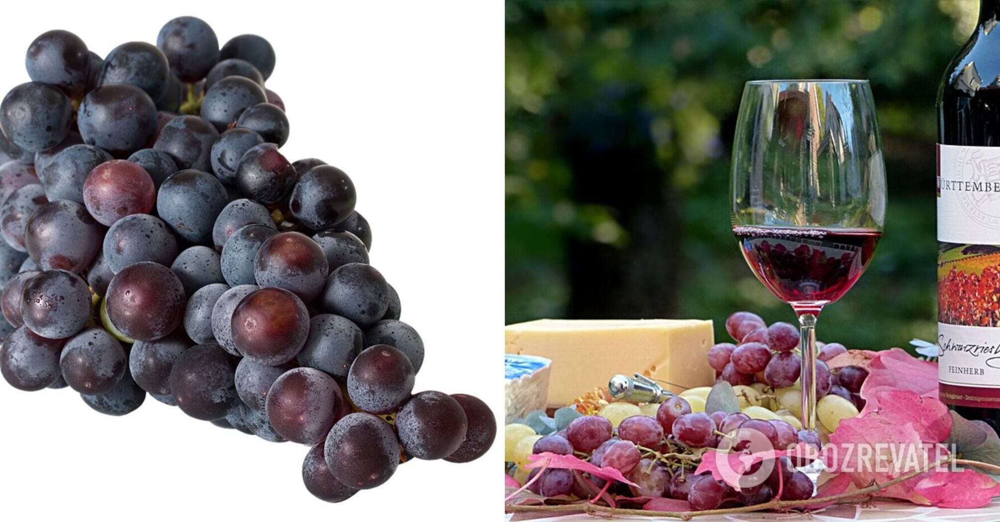 Homemade wine: an expert explains how not to interrupt the taste of grapes in a drink