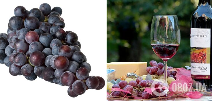 Homemade wine: an expert explains how not to interrupt the taste of grapes in a drink