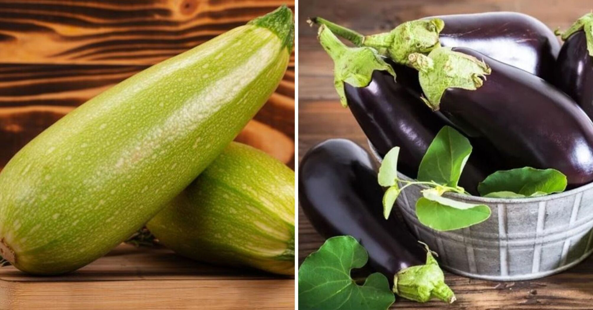 How to cook zucchini and eggplant deliciously: tips from Yevhen Polivoda