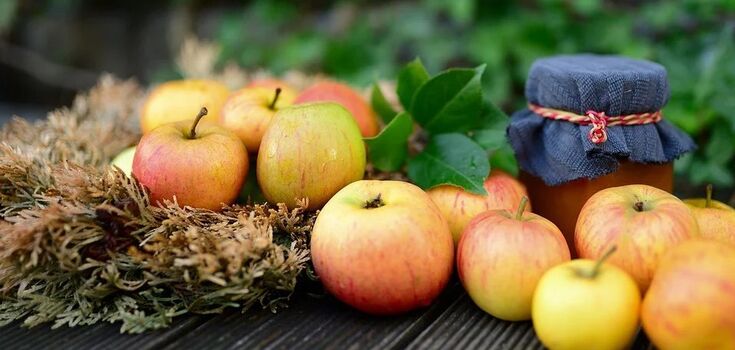How to make apple jam correctly: 2 easy ways