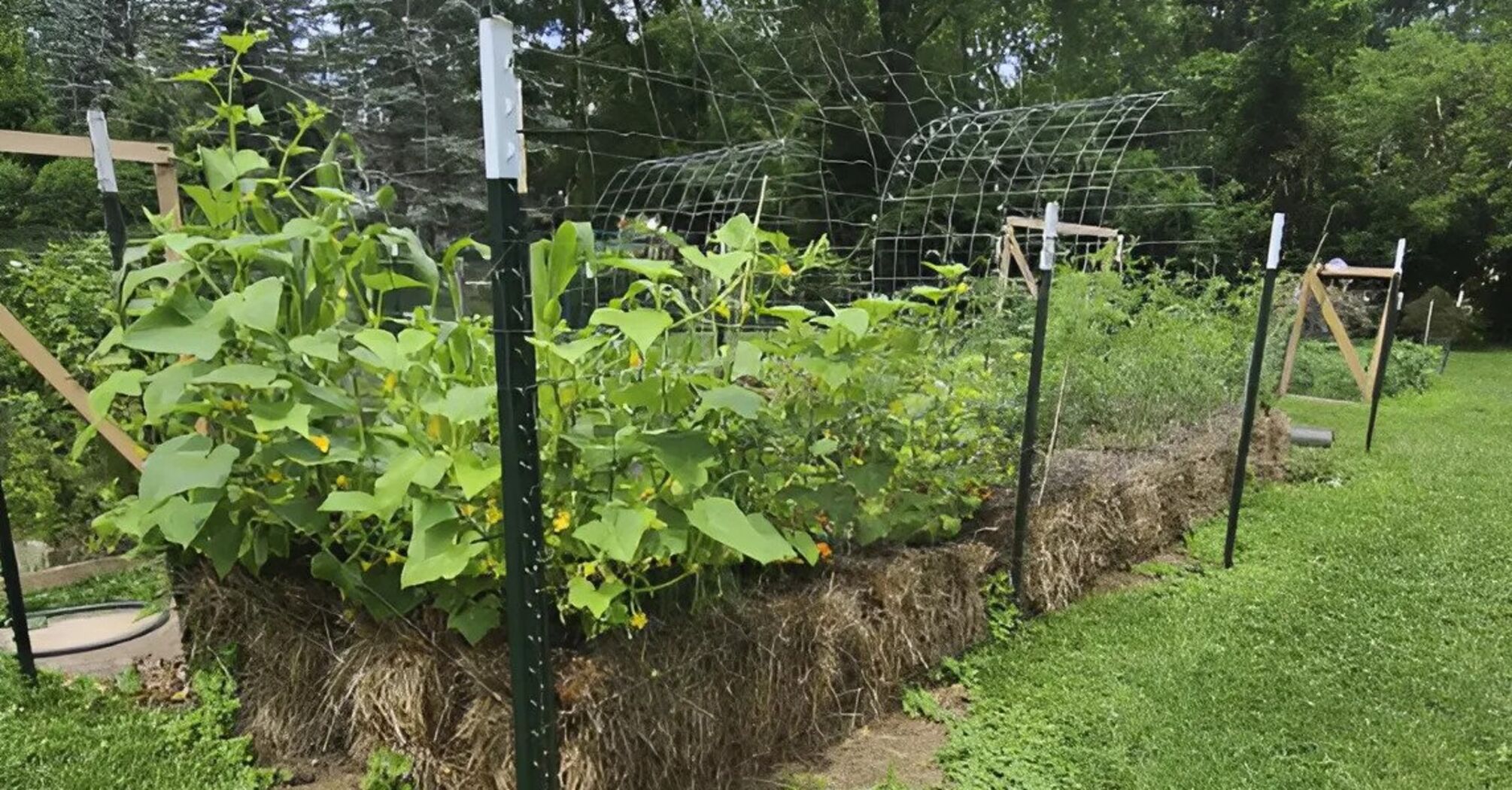 How to make straw bale flower beds if there is no soil: an interesting alternative