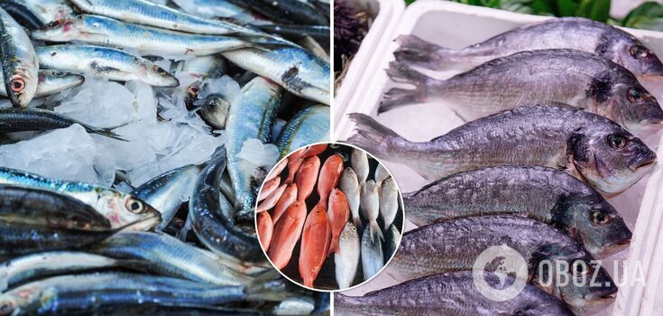 The healthiest fish