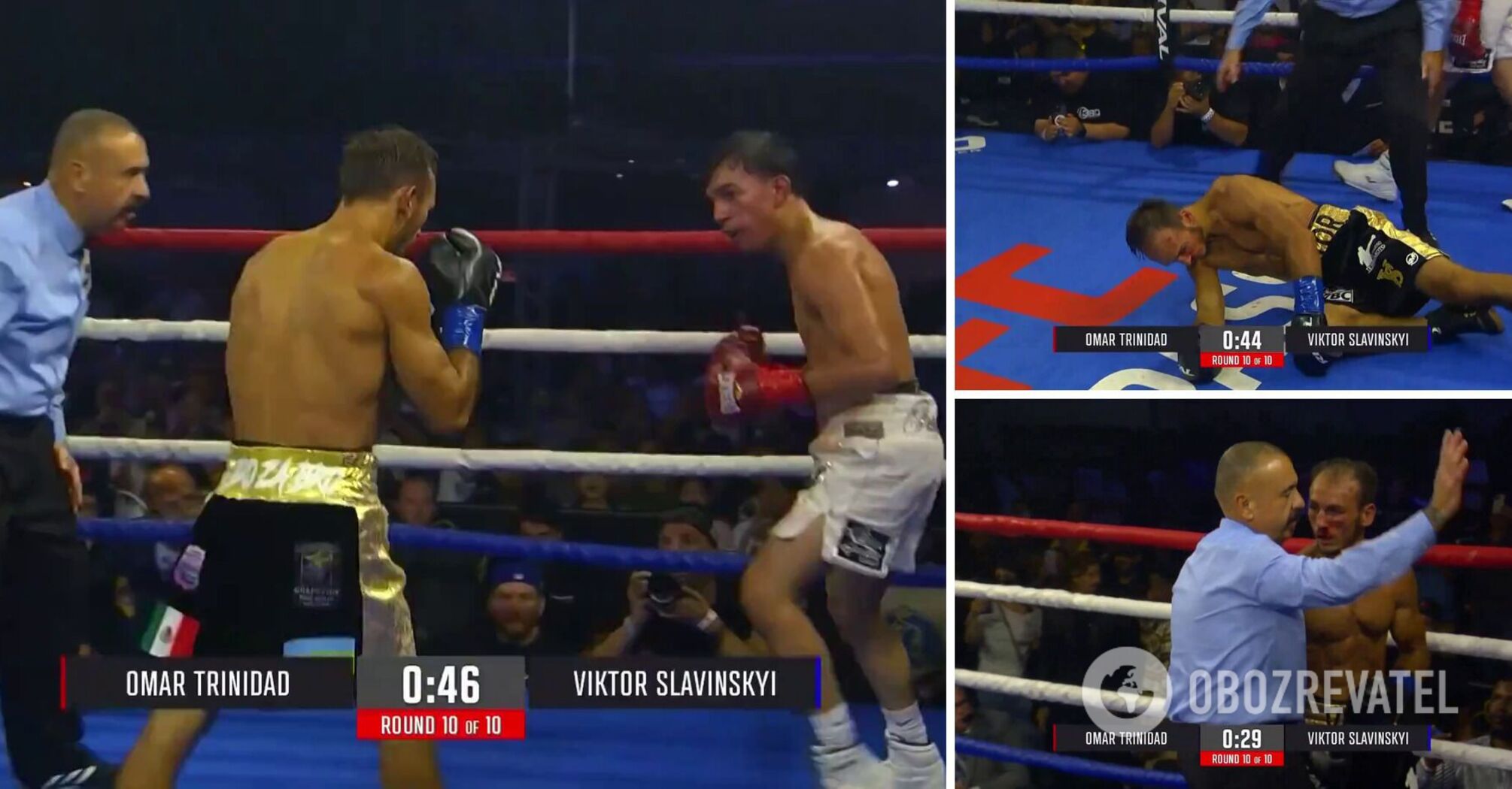 The Ukrainian champion boxer was knocked out in the title fight. Video