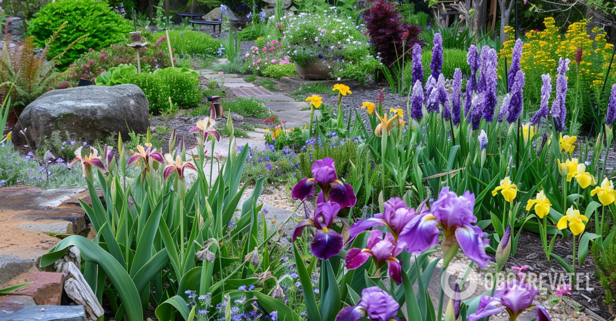 What flowers can be sown or transplanted in the garden in August