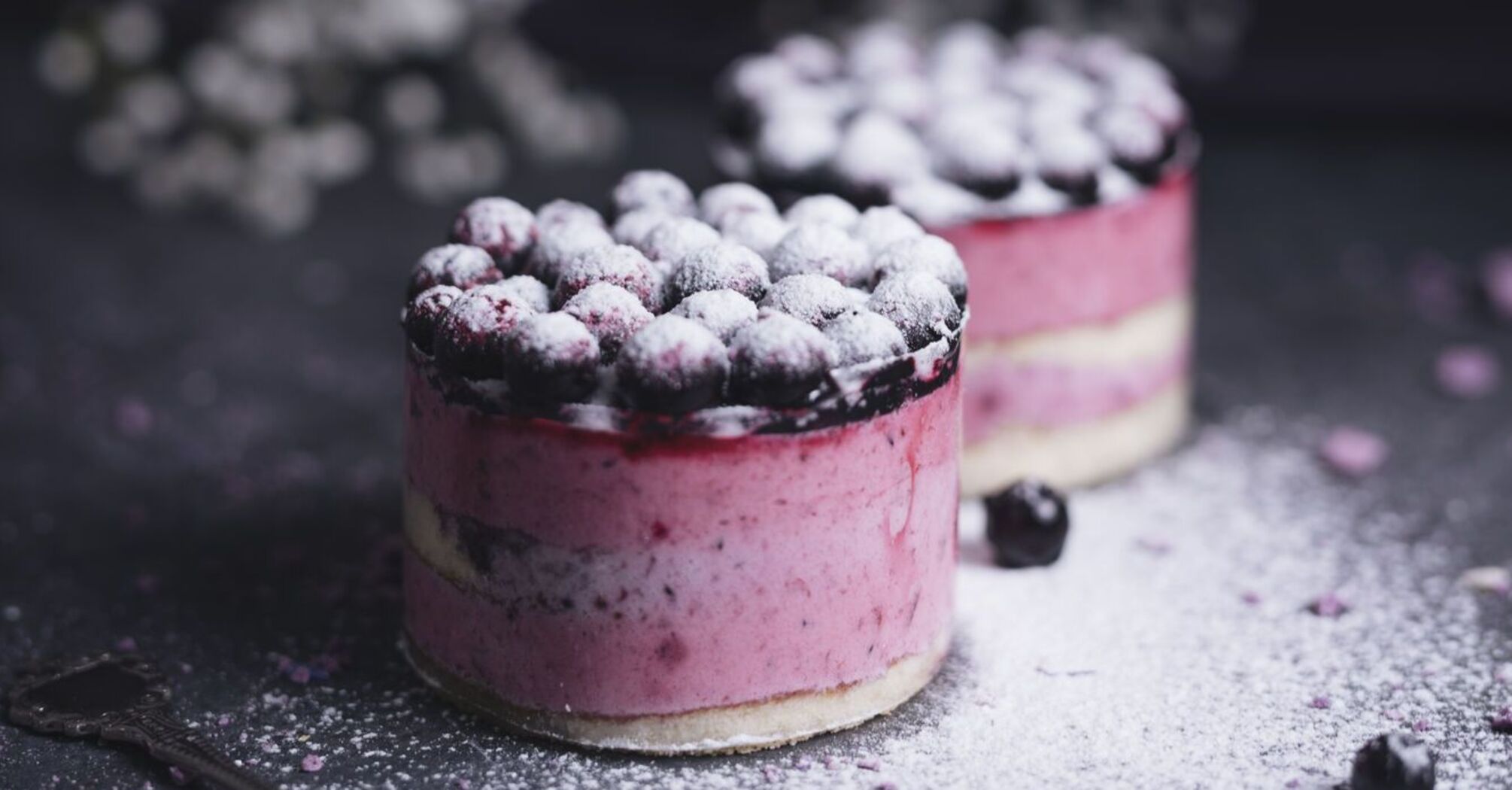 Blueberry cheesecake: you will be delighted with the taste and appearance