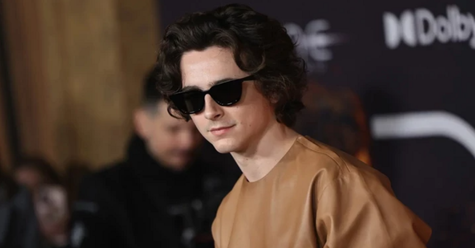 Timothée Chalamet as Bob Dylan: teaser for "Total Recall" released