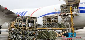 Polska i Niemcy zgodziły się zwiększyć pomoc wojskową dla Ukrainy: o co chodzi?