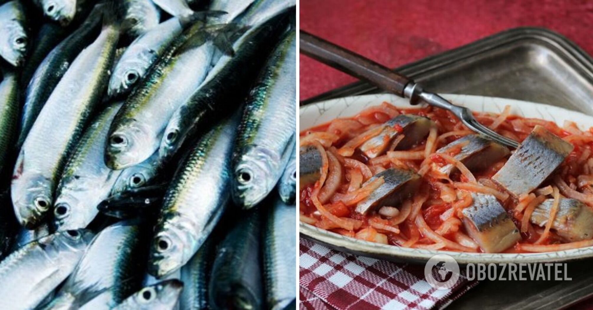 How to marinate herring in tomato sauce: a familiar product in a new way