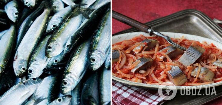 How to marinate herring in tomato sauce: a familiar product in a new way