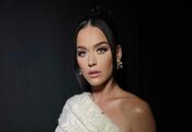 Family of 84-year-old veteran sues Katy Perry over $15 million home: singer accused of 'encroaching' on home