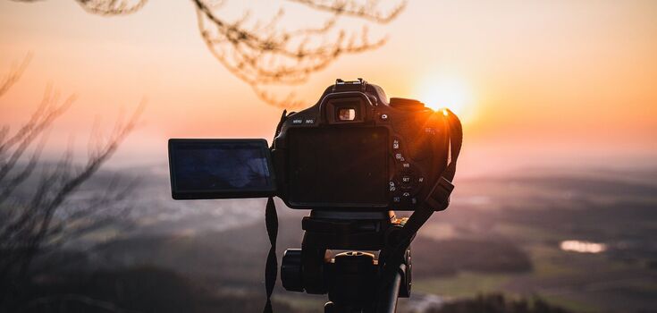 Фотоподорож до Кейптауну: 5 порад для організації незабутнього сафарі в Південній Африці