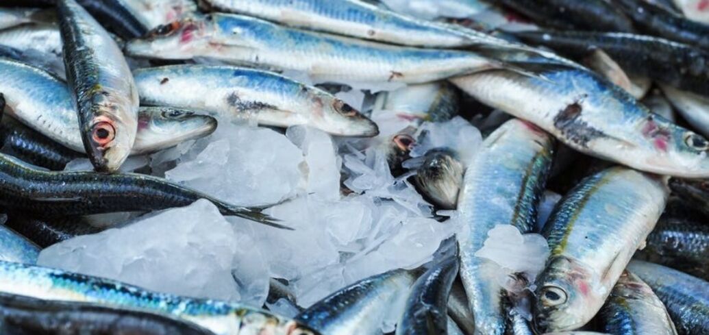How to pickle sprats in spices deliciously at home