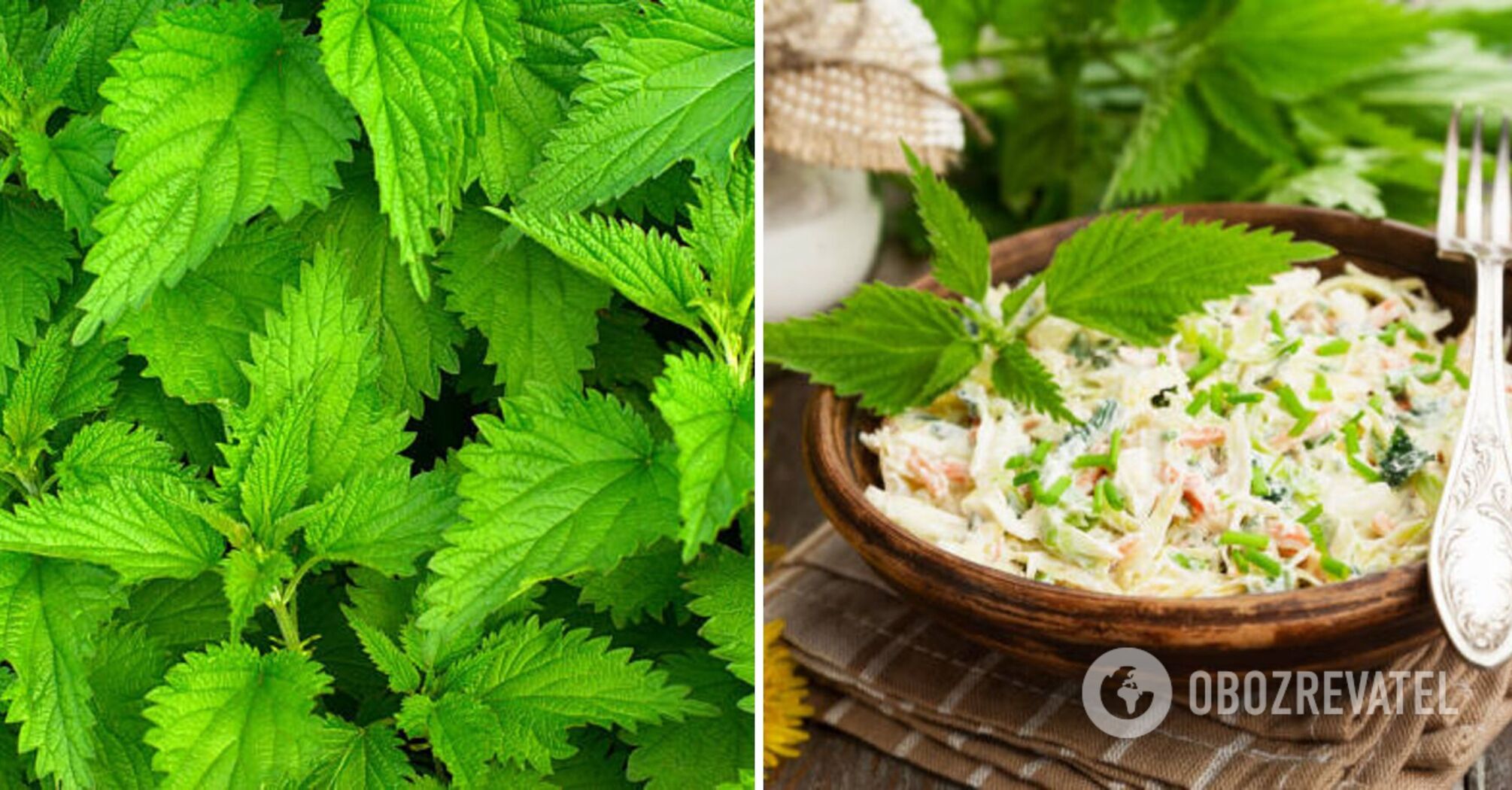 Recipe for healthy nettle salad that is full of vitamins
