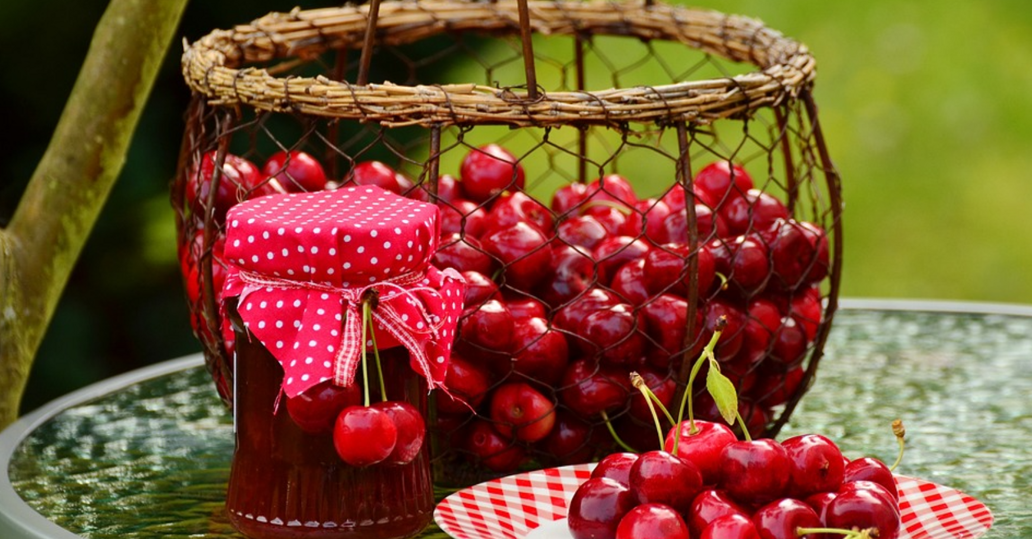Versatile cherry sauce: a must have for winter