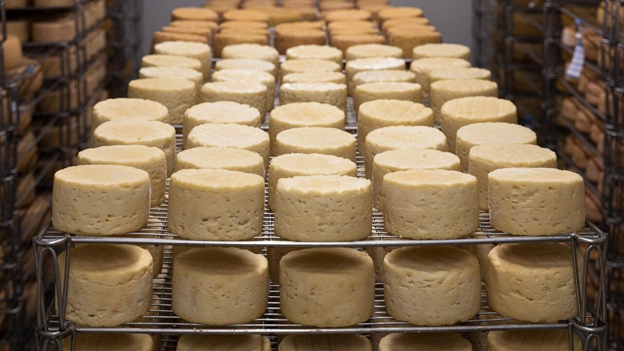 The world's most popular cheeses – what to combine with
