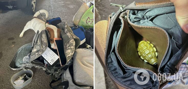 Ukrainian tried to smuggle a grenade into Hungary: what she faces now. Photo