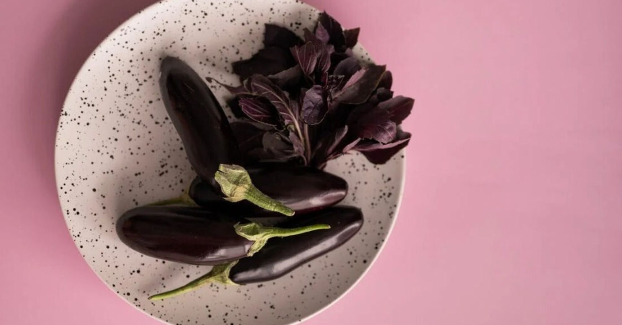 How to prepare eggplants for the winter in 30 minutes: the best way