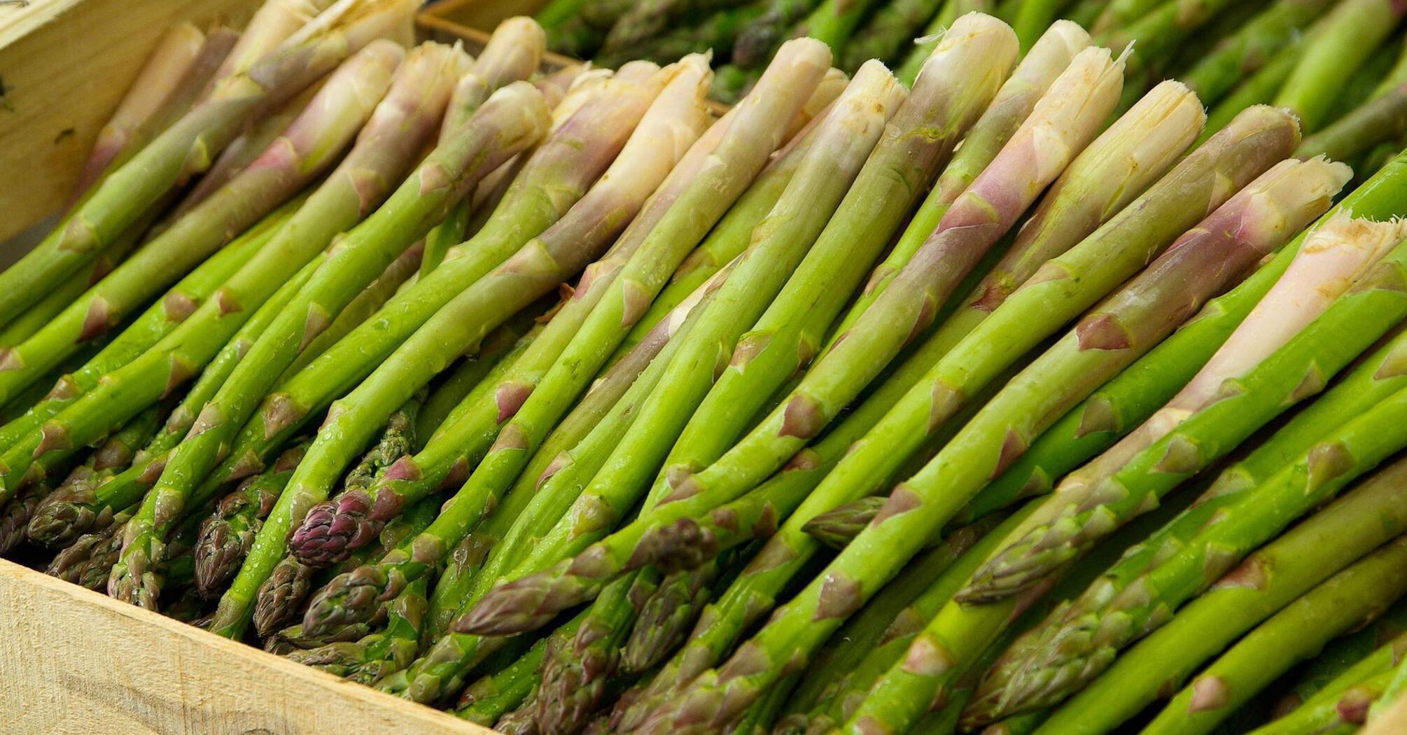 Tasty and healthy asparagus