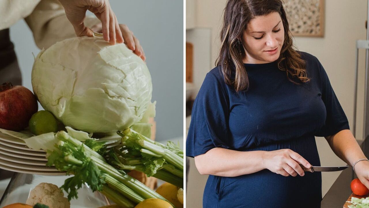 What to cook with fresh cabbage – basic dishes for every taste