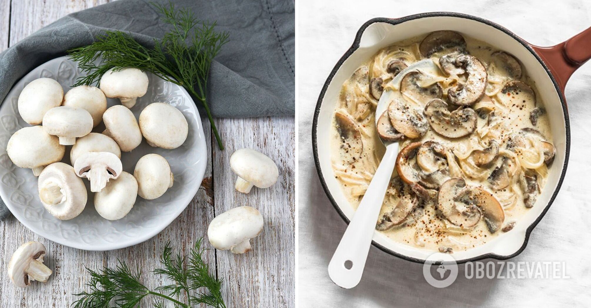 Mushroom sauce