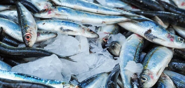 Which fish is the healthiest and how to cook it properly: top 5 budget varieties