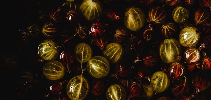 How to preserve gooseberries for the winter: recipe for 'Mojito' compote with lemon and mint